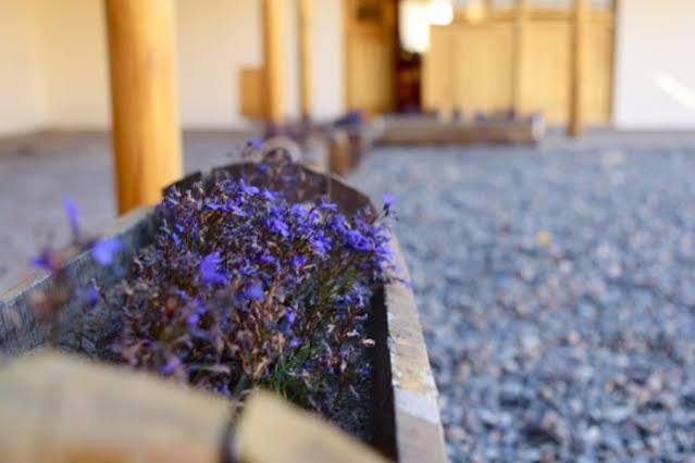 אסקואל Hotel Tierra Mapuche מראה חיצוני תמונה